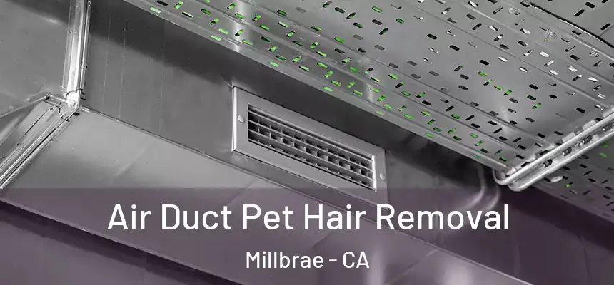  Air Duct Pet Hair Removal Millbrae - CA