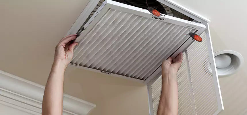 Preventive Cockroach-Proofing for Ducts in Millbrae