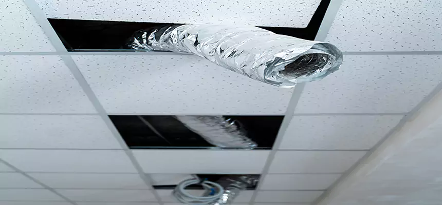 Affordable HVAC Sanitizing After Pest Removal in Millbrae