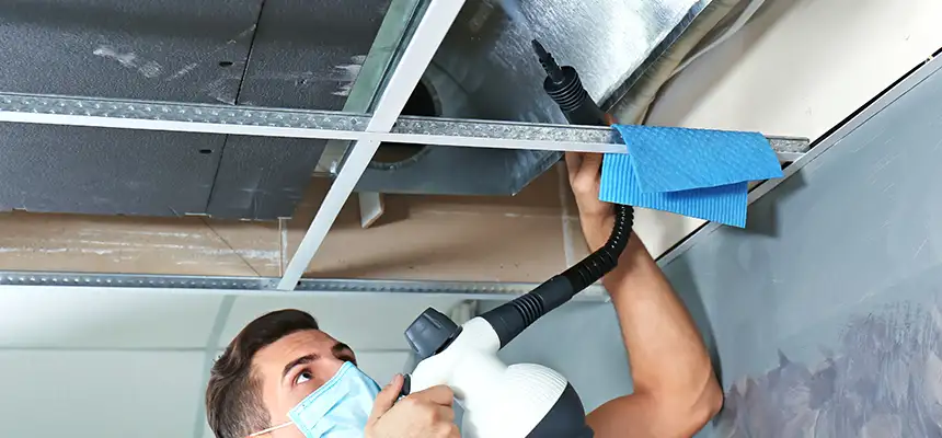 Our Air Duct Rodent Removal Services in Millbrae, CA
