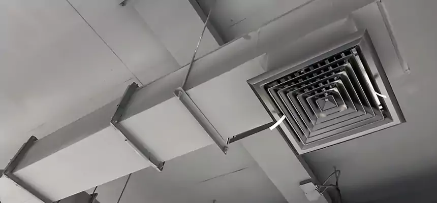 Our Rodent Droppings In Vents Services in Millbrae, CA