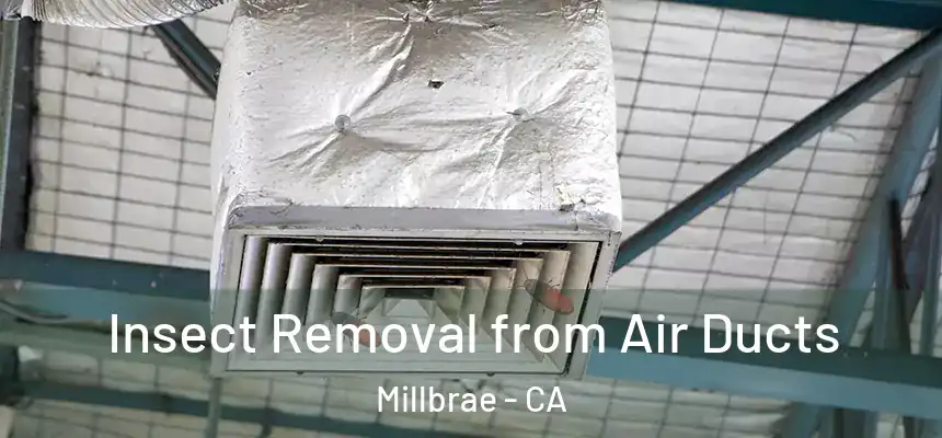  Insect Removal from Air Ducts Millbrae - CA