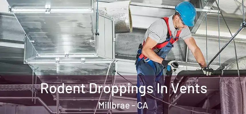  Rodent Droppings In Vents Millbrae - CA