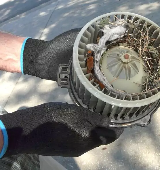 About Air Duct Rat Removal in Millbrae, CA