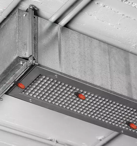 Affordable Insect Removal from Air Ducts in Millbrae, CA