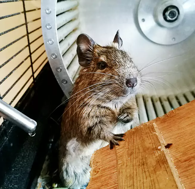 Why Homeowners & Businesses Trust Us Millbrae, CA