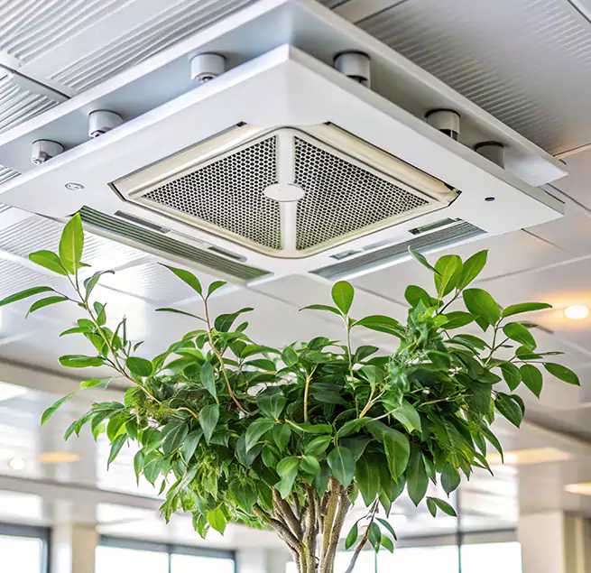 Why Homeowners & Businesses Trust Us in Millbrae, CA