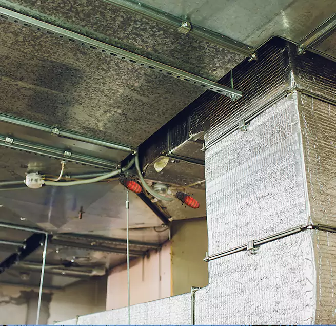 Why Homeowners & Businesses Trust Us Millbrae, CA?